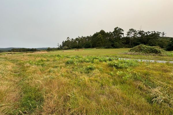 VN00603