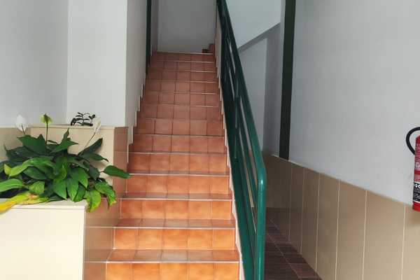 VN00618