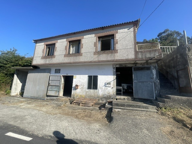 Img 7592