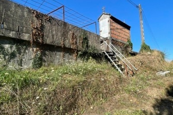 VN00651