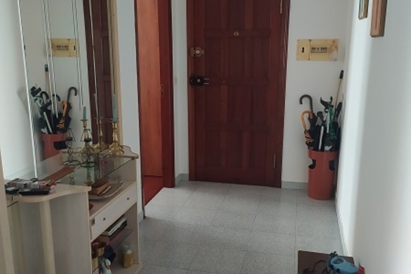 VN00537